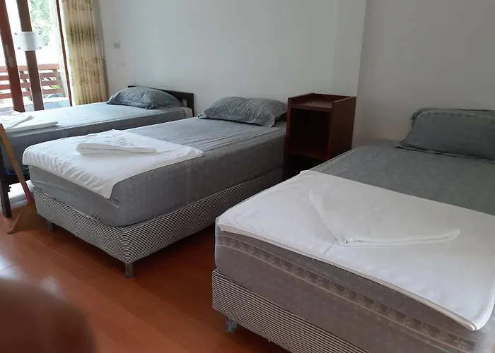 Mint Guesthouse